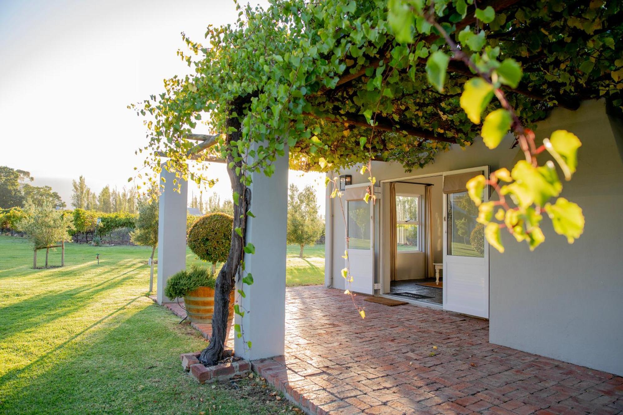 Saronsberg Vineyard Cottages Тульбах Экстерьер фото