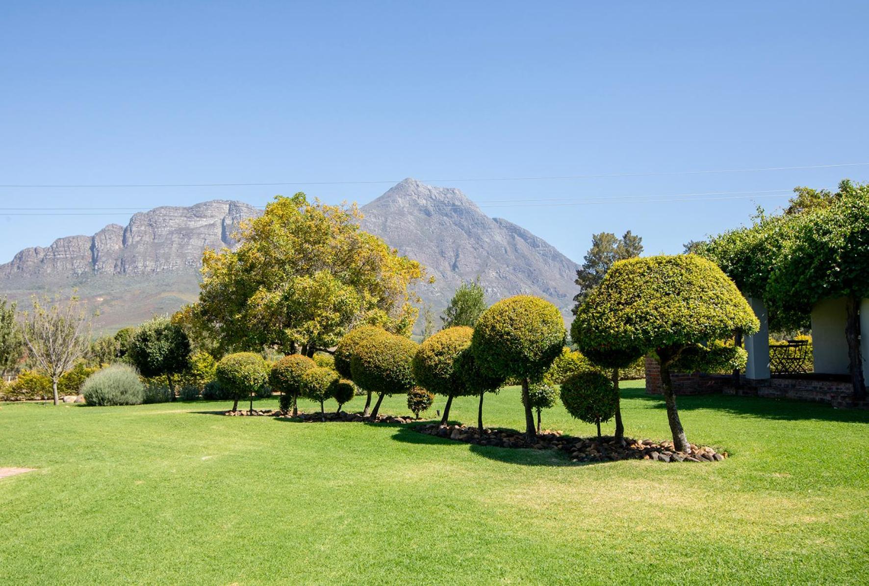 Saronsberg Vineyard Cottages Тульбах Экстерьер фото