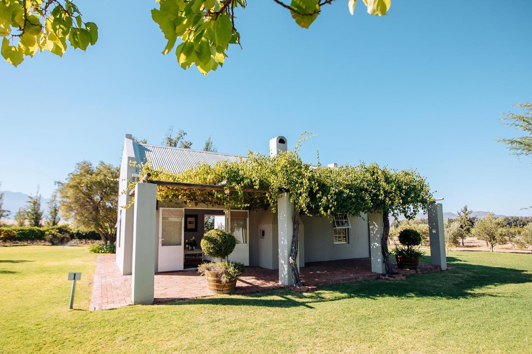 Saronsberg Vineyard Cottages Тульбах Экстерьер фото