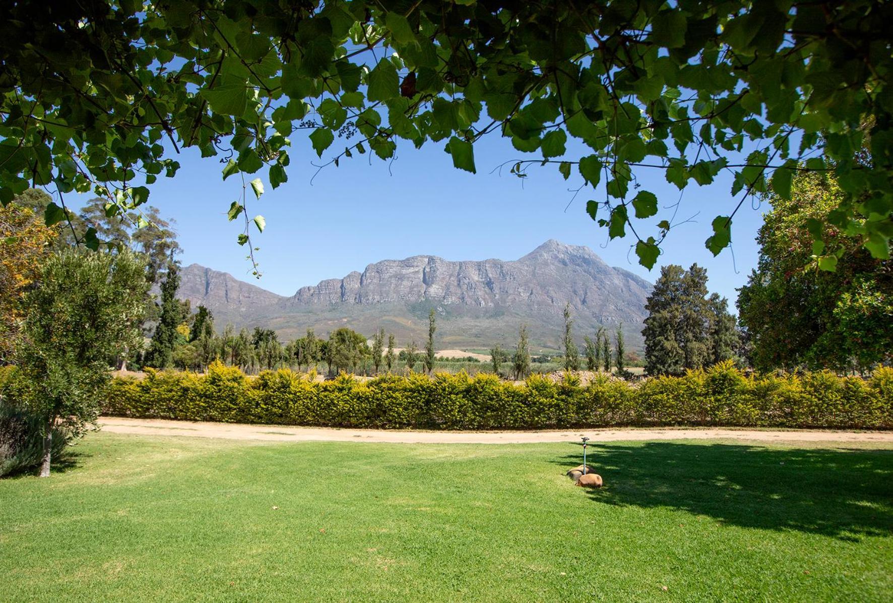 Saronsberg Vineyard Cottages Тульбах Экстерьер фото